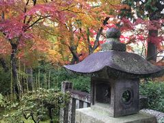 -常寂光寺