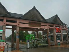 -上海都市菜园