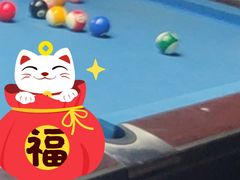 -伟林台球(力帆店)