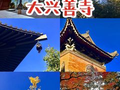 -大唐不夜城
