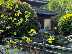 -慧因高丽寺