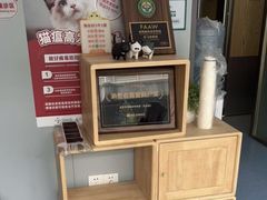 -伟伟宠物医院·瑞派猫友好医院·猫科(光谷店)