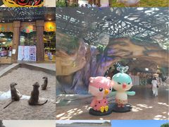 -杭州开元森泊度假乐园