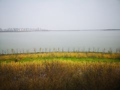 -天津东丽湖风景区