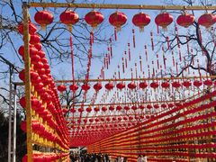 -北京凤凰岭