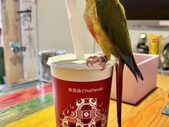 -茶百道(呼家楼店)