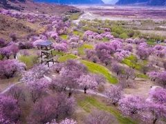 -魔指印象(西藏旗舰店)