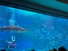 -海合安成都极地海洋公园