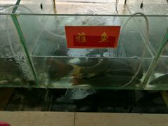 -干老四雅鱼饭店(滨江西路店)