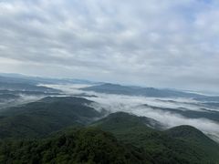 -天女山森林公园