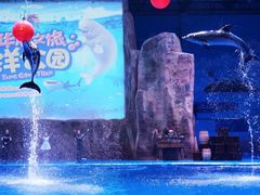 -华夏文旅海洋公园