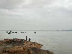 -野狸岛