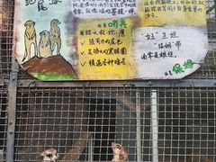 -保定市动物园
