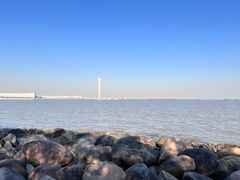 -上海吴淞炮台湾国家湿地公园