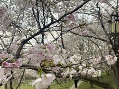 -苏州上方山国家森林公园