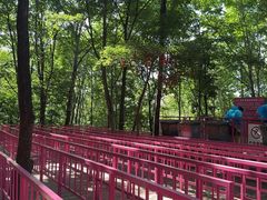 -帽儿山风景区