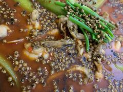 花椒馋嘴蛙-渝乡人家(和平里店)