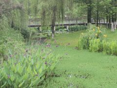 -沐仙湖湿地公园