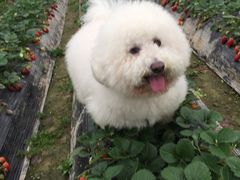 -骐奇宠物诊疗中心(南亭公路店)