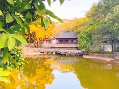 -深圳国际园林花卉博览园