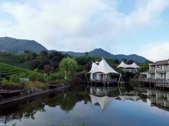 -帐篷客·溪龙茶谷度假酒店