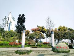 -大渡口区义渡公园