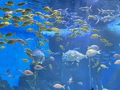 -泉城欧乐堡海洋极地世界