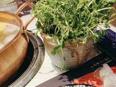 -牛村来人潮汕牛肉火锅(西单店)