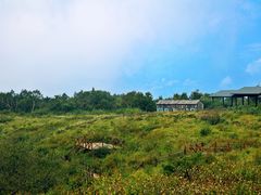 高山草甸-野三坡百草畔景区