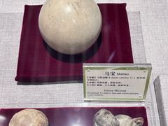 -北京中医药大学-中医药博物馆