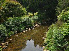 -白马涧龙池景区