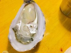 -囧吉香生蚝牛排馆(湖北路店)