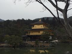 -豆政(金閣寺境内売店)