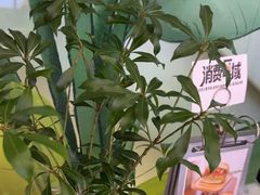 -THE WOODS 简餐 (国贸商城店)