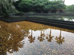 -东莞塘厦三正半山温泉酒店·沙利文西餐厅