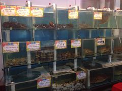-蚝专家(北滘店)