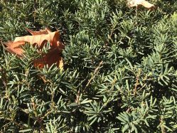 -私家美林护肤造型