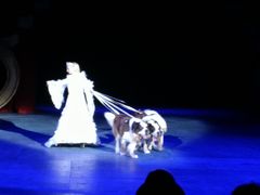 -珠海横琴长隆《卡卡虎奇遇记》