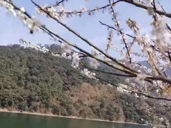 -广州市流溪河国家森林公园