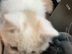 -惠康宠物医院(华能路店)