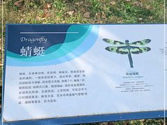 -白鹭湾湿地公园