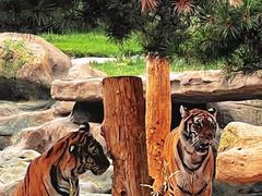 -北京野生动物园