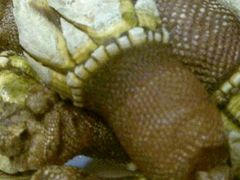 霞浦笔架螺-财富今典大酒店