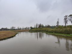 -春花秋色城市公园