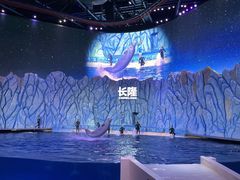 -珠海长隆海洋王国