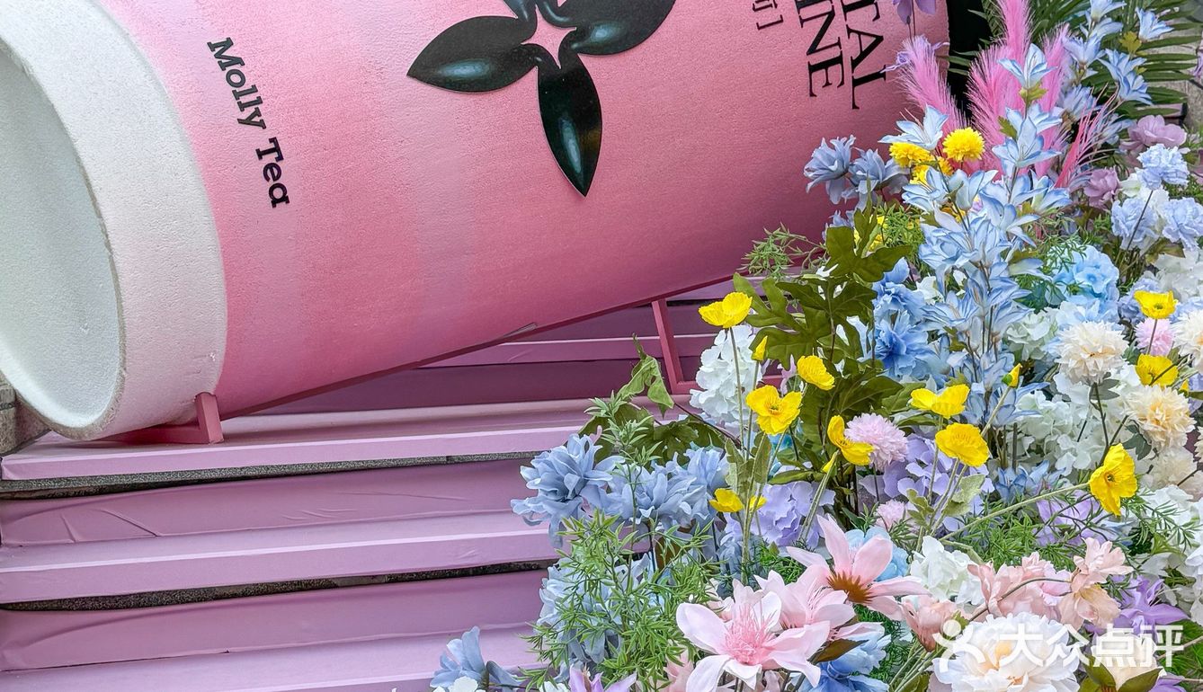 福州也有了。。。大粉杯瀑布花🌸好漂亮