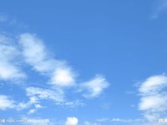 -瑞丽独树成林风景区