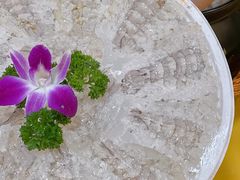 -官塘陈记鱼生·潮汕砂锅粥·牛肉火锅(潮枫路总店)