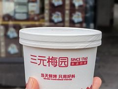 -三元梅园(团结湖店)