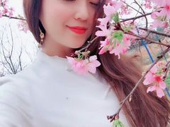 -天适樱花悠乐园